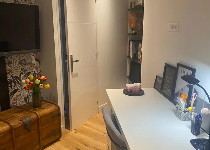 Chambre Chez L\'Habitant Centre Ville De Lyon